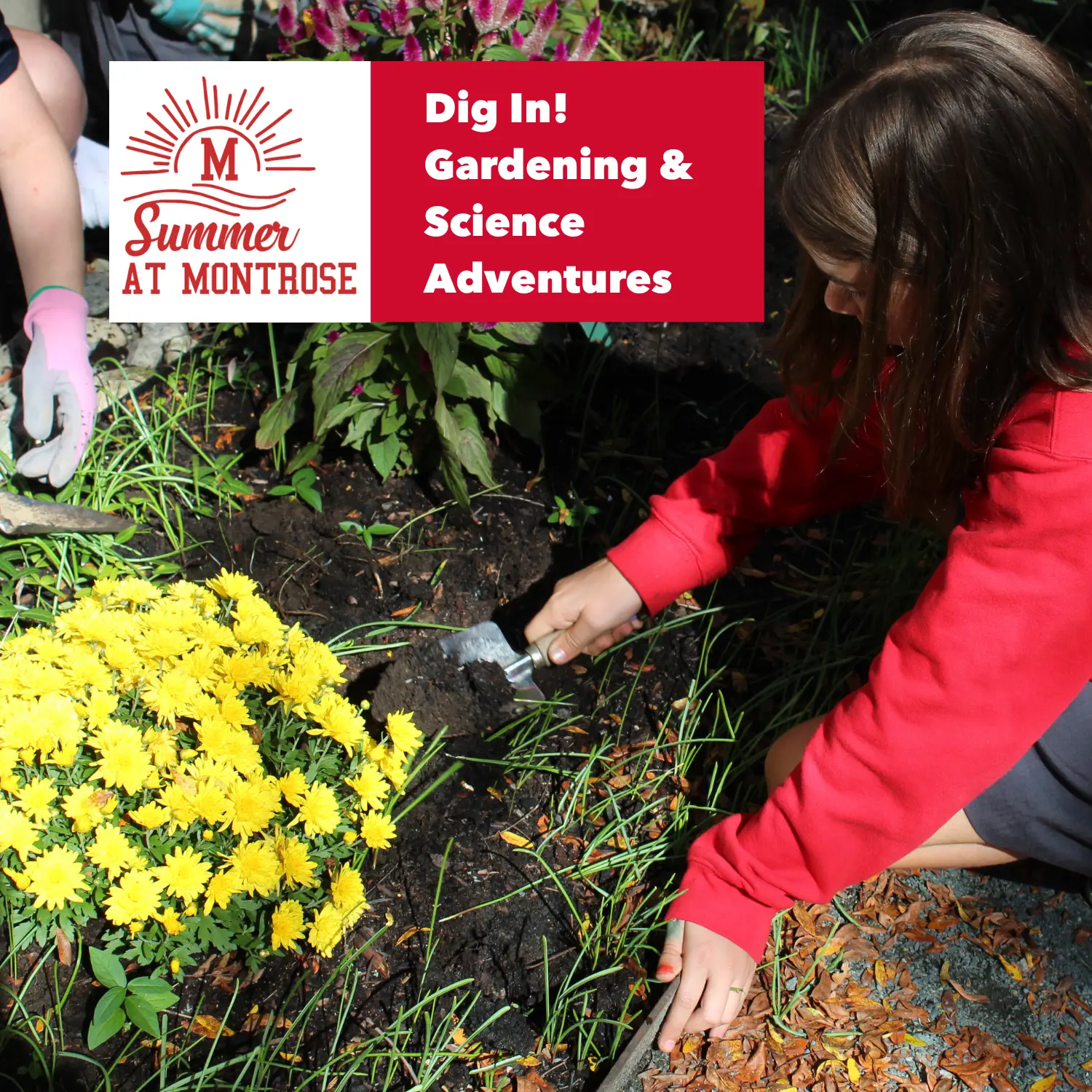  OptimizedImage,,,Optimized