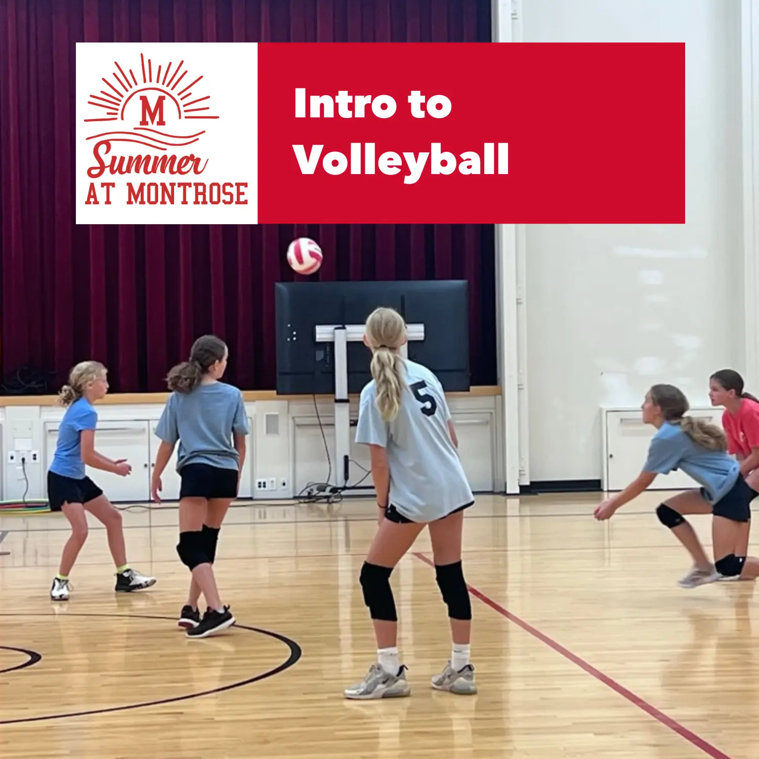  OptimizedImage,,,Optimized