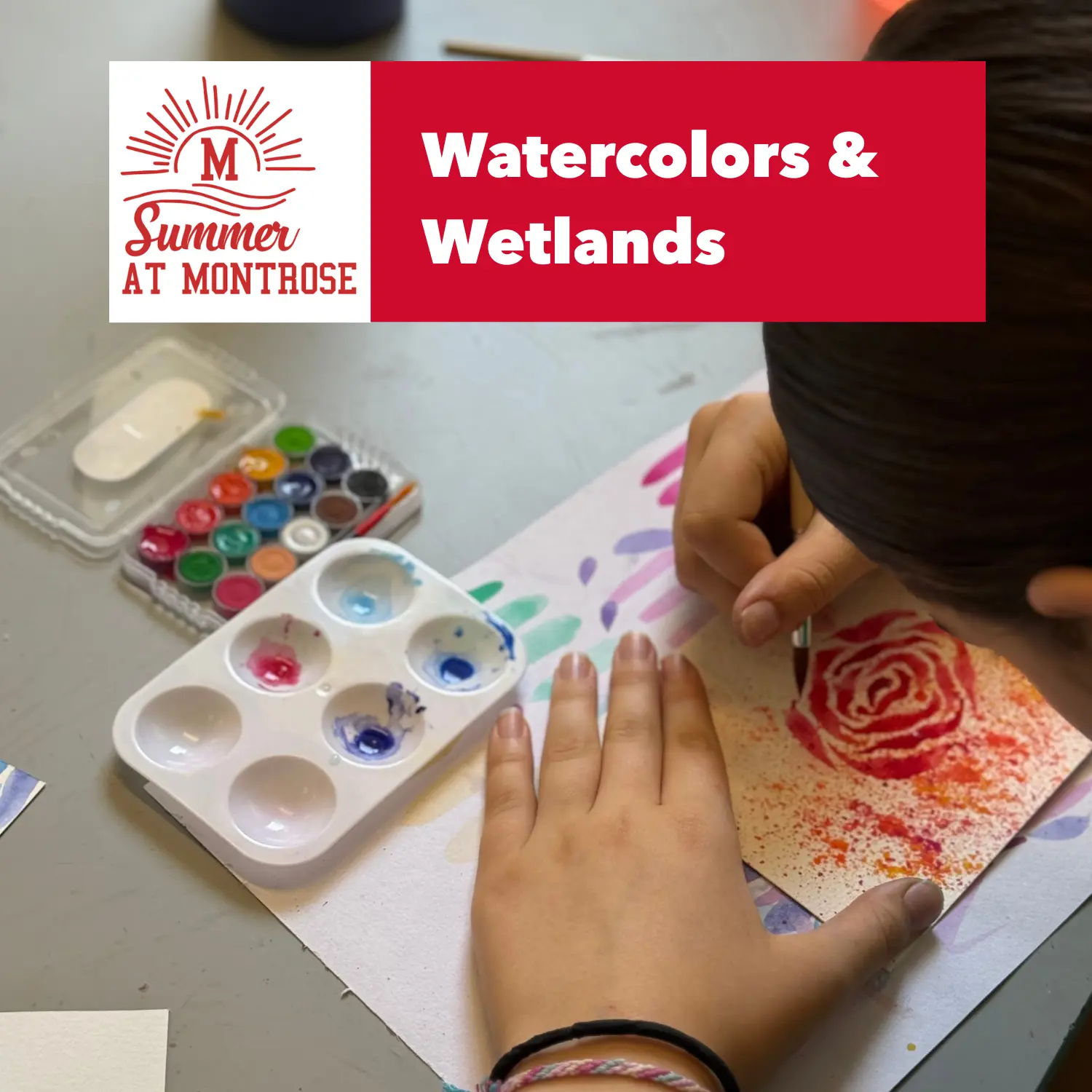 OptimizedImage,,,Optimized