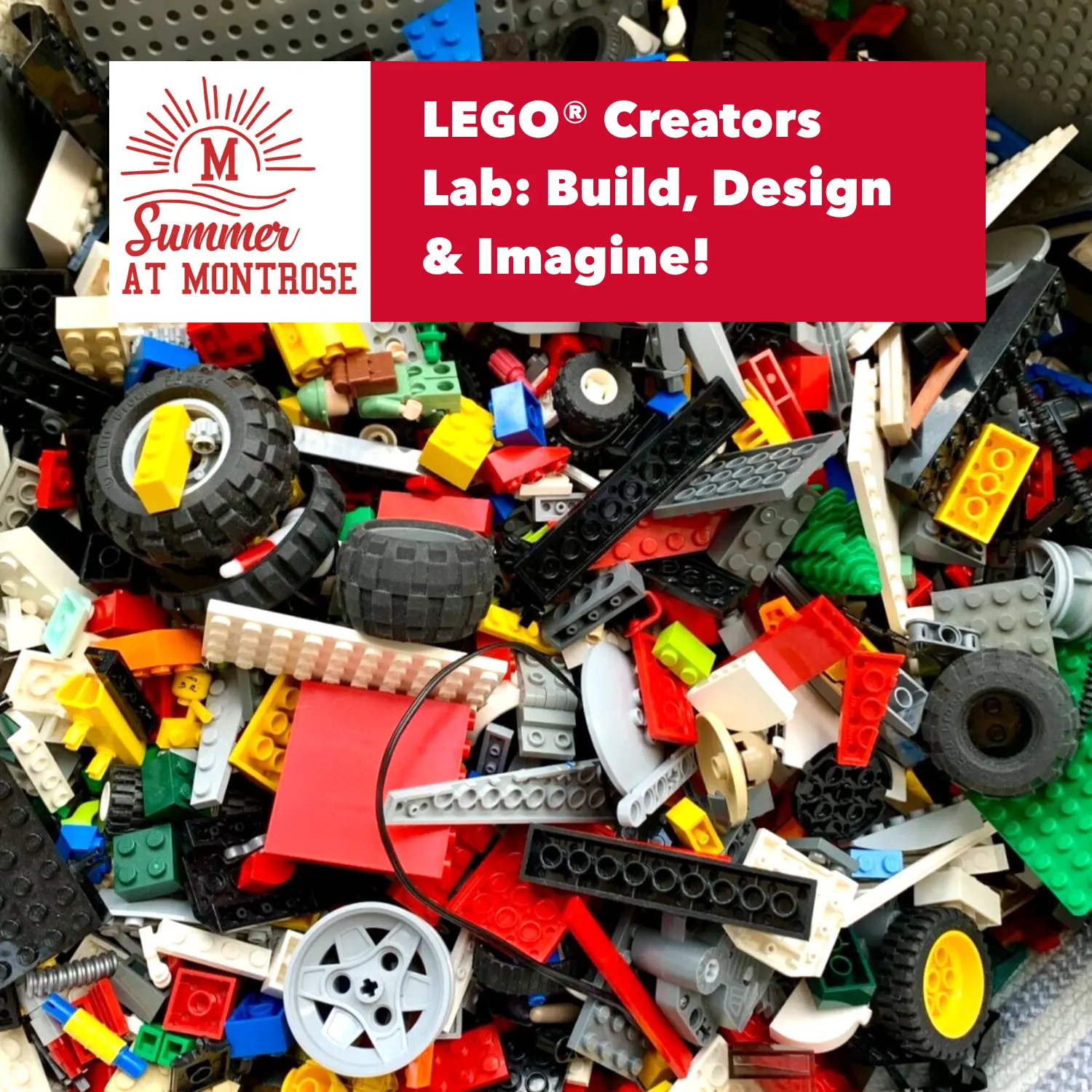  OptimizedImage,,,Optimized