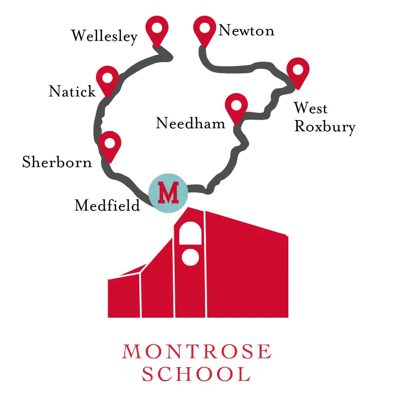  OptimizedImage,,,Optimized