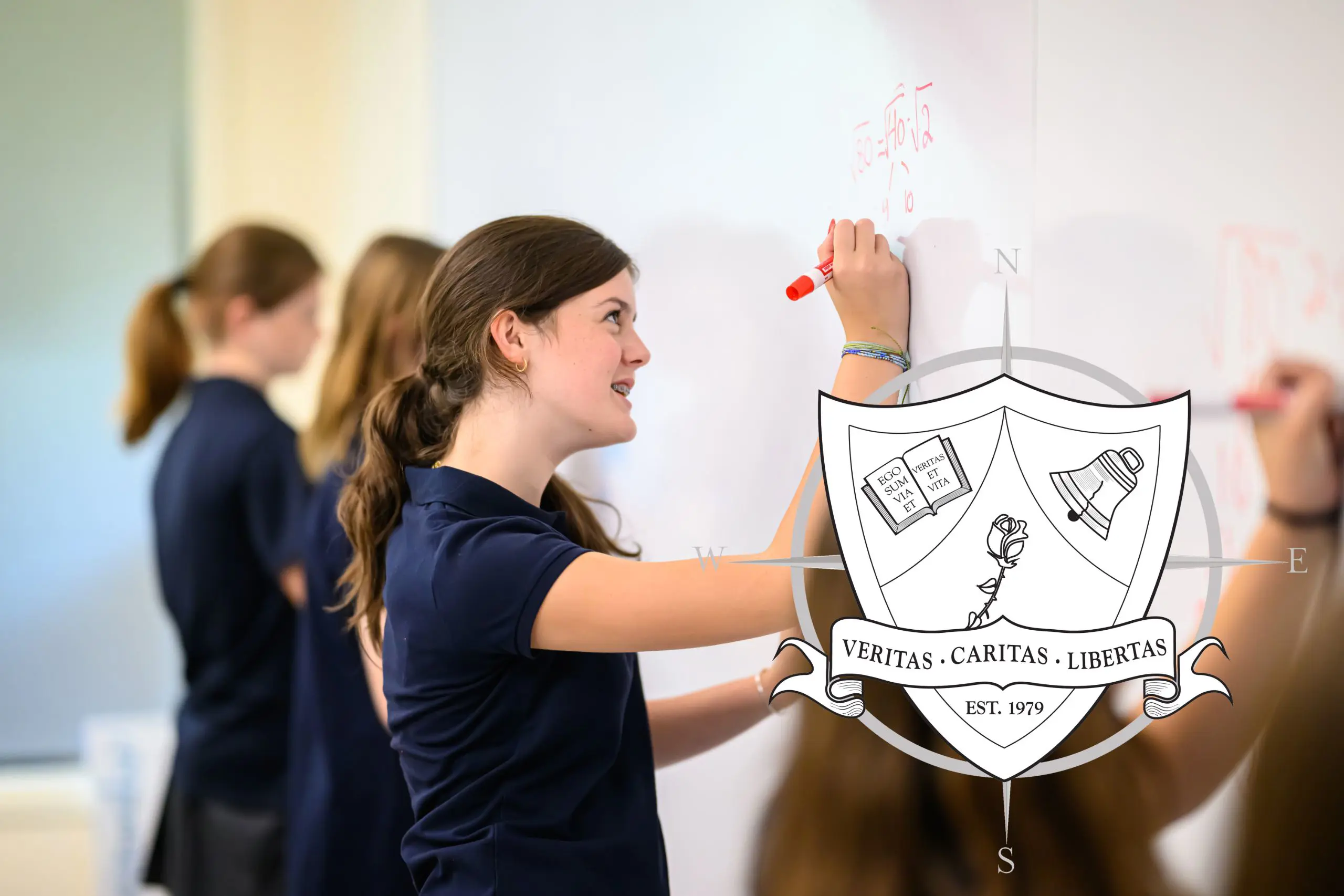  OptimizedImage,,,Optimized