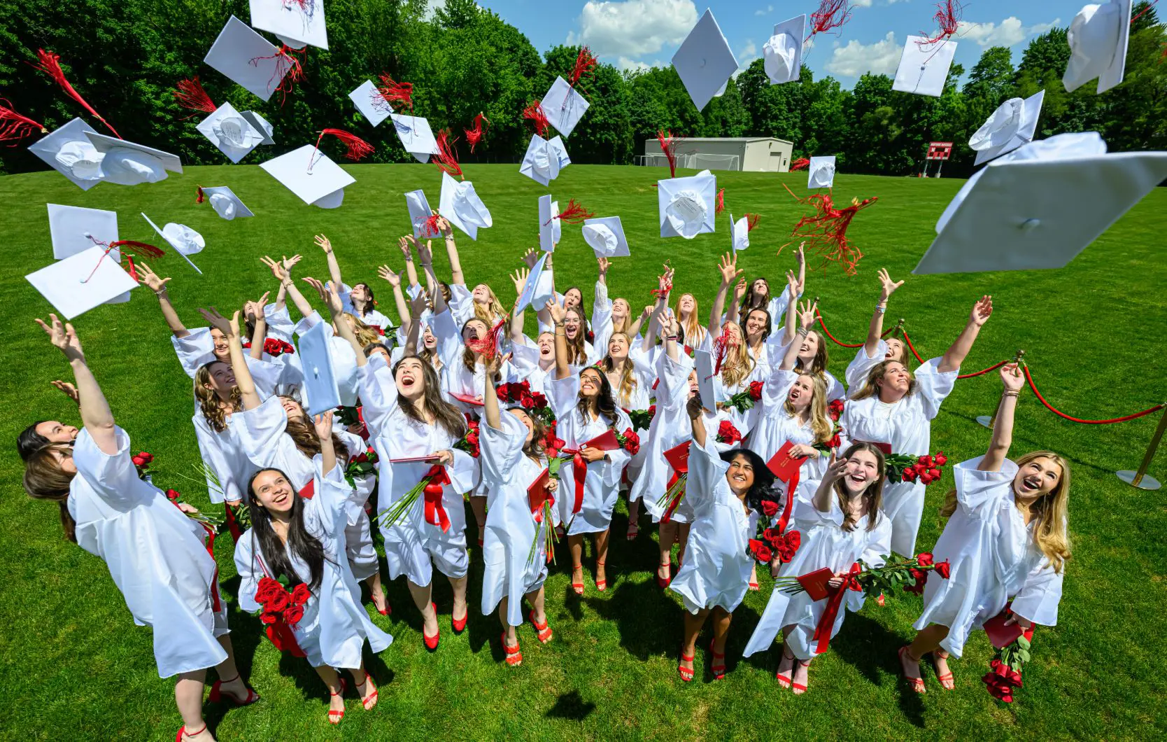 OptimizedImage,,,Optimized