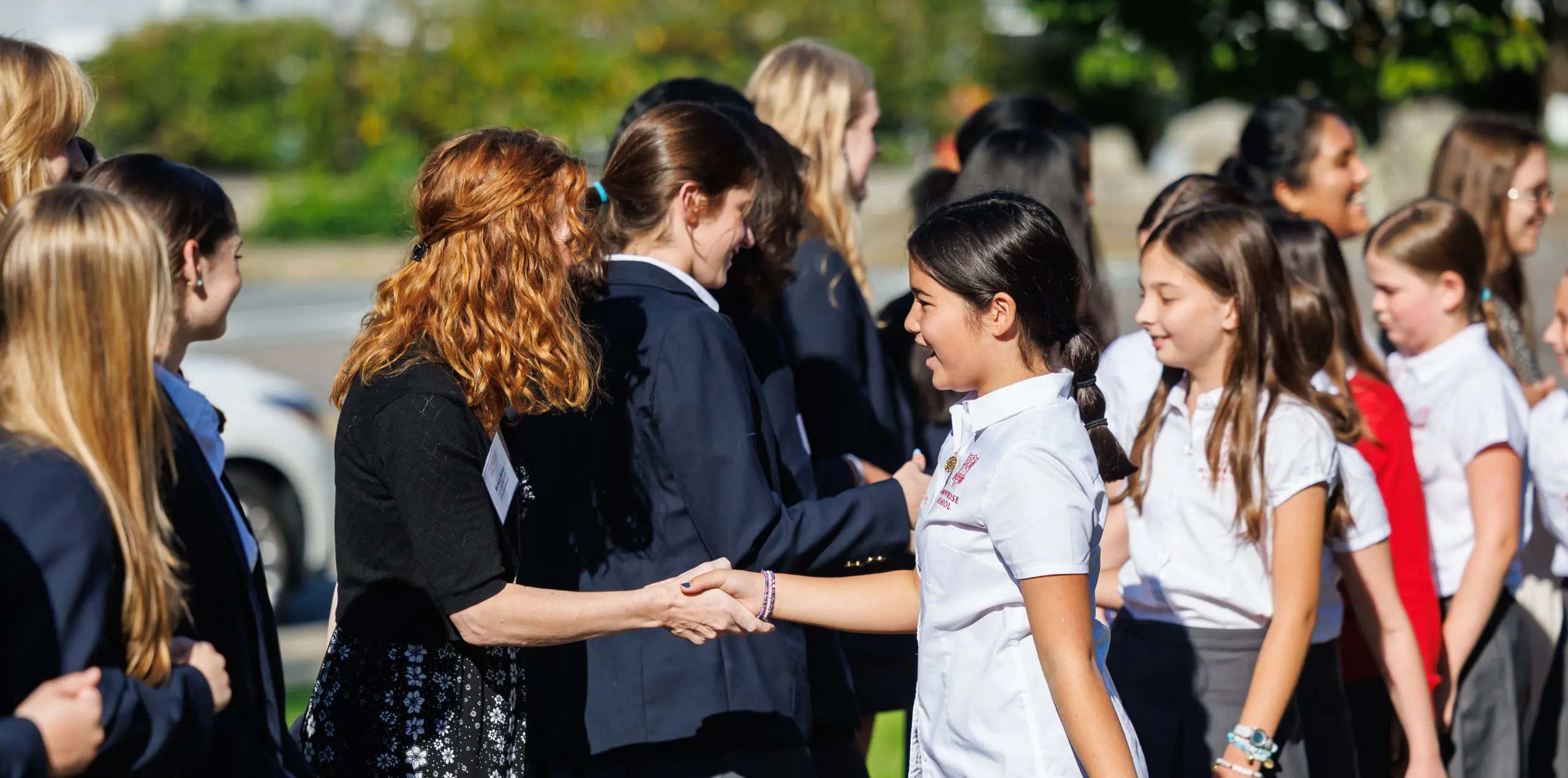  OptimizedImage,,,Optimized