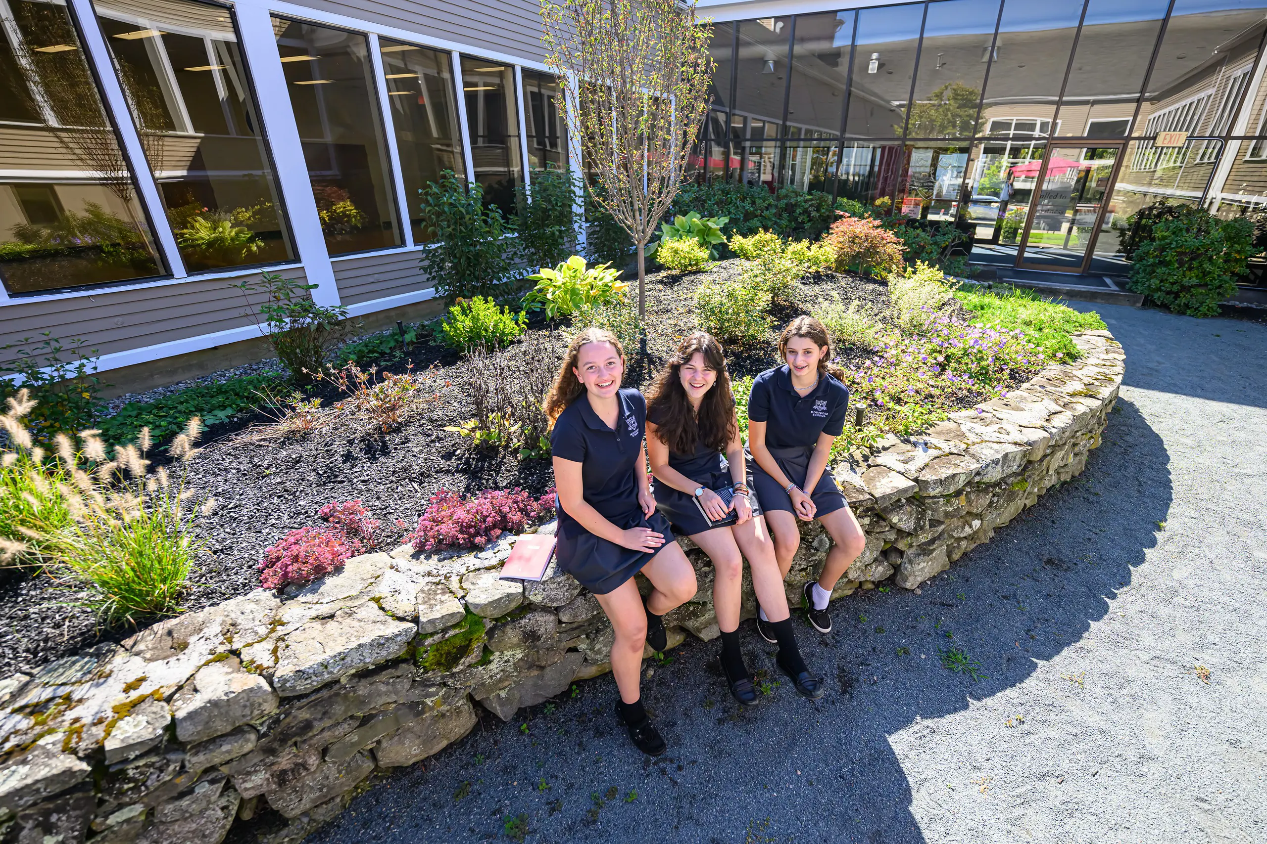 OptimizedImage,,,Optimized