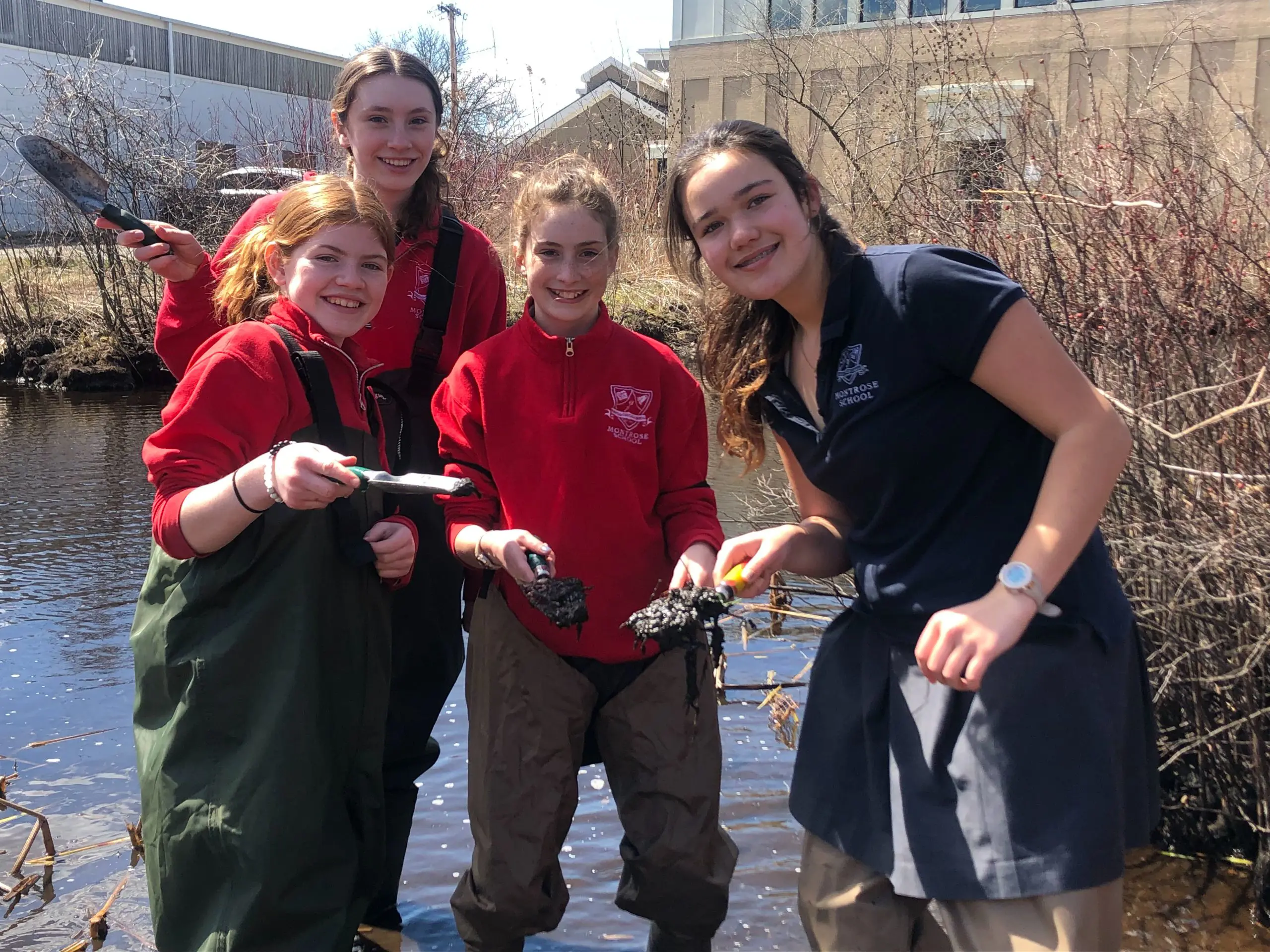 OptimizedImage,,,Optimized